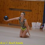 Gymnastky GSK Tábor se představily na domácí půdě