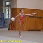 Gymnastky GSK Tábor se představily na domácí půdě