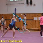 Gymnastky GSK Tábor se představily na domácí půdě