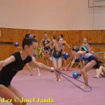 Gymnastky GSK Tábor se představily na domácí půdě