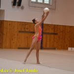 Gymnastky GSK Tábor se představily na domácí půdě