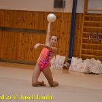 Gymnastky GSK Tábor se představily na domácí půdě