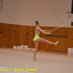 Gymnastky GSK Tábor se představily na domácí půdě