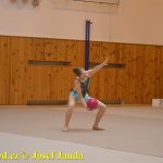Gymnastky GSK Tábor se představily na domácí půdě