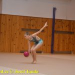 Gymnastky GSK Tábor se představily na domácí půdě