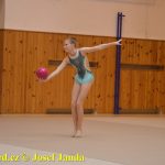 Gymnastky GSK Tábor se představily na domácí půdě