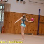 Gymnastky GSK Tábor se představily na domácí půdě