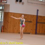 Gymnastky GSK Tábor se představily na domácí půdě