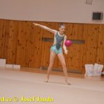 Gymnastky GSK Tábor se představily na domácí půdě