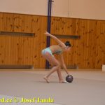 Gymnastky GSK Tábor se představily na domácí půdě