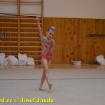 Gymnastky GSK Tábor se představily na domácí půdě