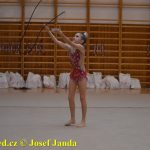 Gymnastky GSK Tábor se představily na domácí půdě