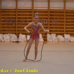 Gymnastky GSK Tábor se představily na domácí půdě