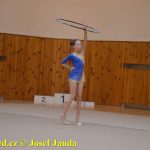 Gymnastky GSK Tábor se představily na domácí půdě