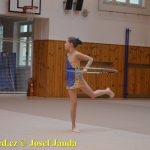 Gymnastky GSK Tábor se představily na domácí půdě