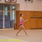 Gymnastky GSK Tábor se představily na domácí půdě