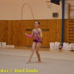 Gymnastky GSK Tábor se představily na domácí půdě
