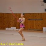 Gymnastky GSK Tábor se představily na domácí půdě