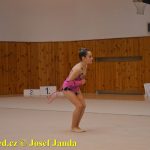 Gymnastky GSK Tábor se představily na domácí půdě