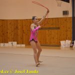 Gymnastky GSK Tábor se představily na domácí půdě