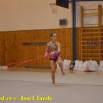 Gymnastky GSK Tábor se představily na domácí půdě