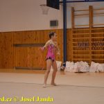 Gymnastky GSK Tábor se představily na domácí půdě