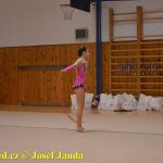 Gymnastky GSK Tábor se představily na domácí půdě