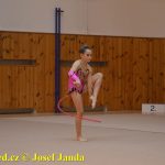 Gymnastky GSK Tábor se představily na domácí půdě