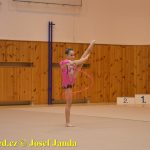 Gymnastky GSK Tábor se představily na domácí půdě
