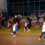 VIDEO: Sokolská akademie odboru všestrannosti zaplnila ochozy sportovní haly