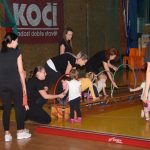 VIDEO: Sokolská akademie odboru všestrannosti zaplnila ochozy sportovní haly