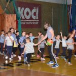 VIDEO: Sokolská akademie odboru všestrannosti zaplnila ochozy sportovní haly