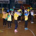 VIDEO: Sokolská akademie odboru všestrannosti zaplnila ochozy sportovní haly