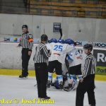 Extraligoví kohouti opustili poslední místo. Kobru porazili s čistým štítem