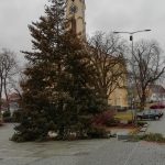 Na milevském náměstí už stojí vánoční strom. Adventní program město neruší