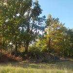Listopadovou fotosoutěž vyhráli podzimníčci druháků