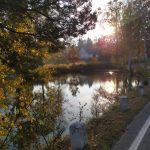 Listopadovou fotosoutěž vyhráli podzimníčci druháků