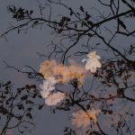 Listopadovou fotosoutěž vyhráli podzimníčci druháků