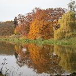 Listopadovou fotosoutěž vyhráli podzimníčci druháků