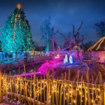 Adventní atmosféra na Budějovicku přežila opatření