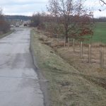 V Pištíně vysázeli letos na 150 stromů