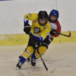 Mladší žáci HC Strakonice zdolali Veselí nad Lužnicí