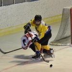 Mladší žáci HC Strakonice zdolali Veselí nad Lužnicí