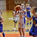 VIDEO: Zlaté medaile putovaly od Otavy do krajského města