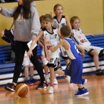 VIDEO: Zlaté medaile putovaly od Otavy do krajského města
