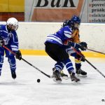 Hokejový turnaj mládeže ovládl Motor, Králové brali bronz