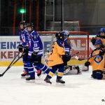 Hokejový turnaj mládeže ovládl Motor, Králové brali bronz