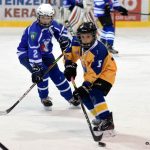 Hokejový turnaj mládeže ovládl Motor, Králové brali bronz