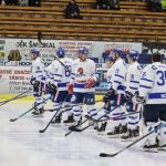 Táborští hokejisté zapečetili kalendářní rok osmigólovou nadílkou Řisutům