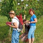 Bydlení bez rodičů, příprava na zaměstnání, výlety po regionu i vlastní kapela. Tím žijí klienti Domova sv. Anežky